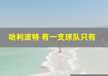 哈利波特 有一支球队只有